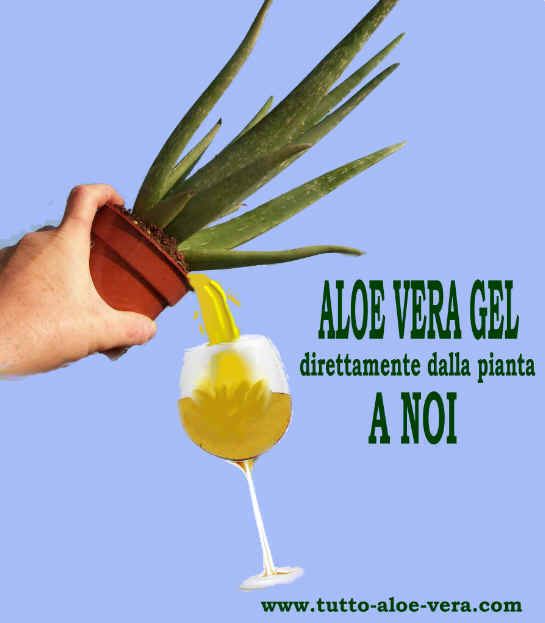 Il succo di ALOE VERA GEL  come bere direttamente dalla pianta