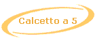 Calcetto a 5